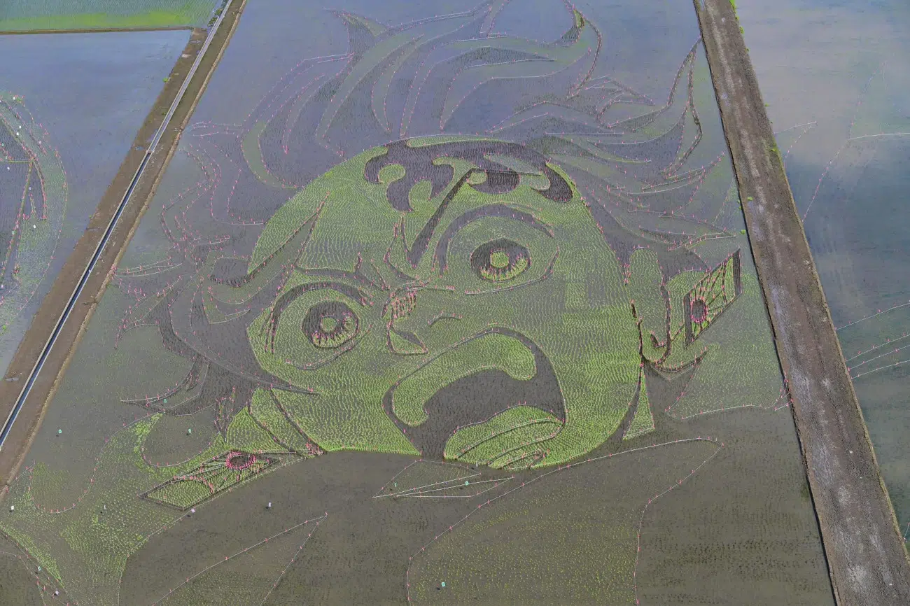 Details of Demon Slayer Rice Paddy Art in Gyoda, Japan