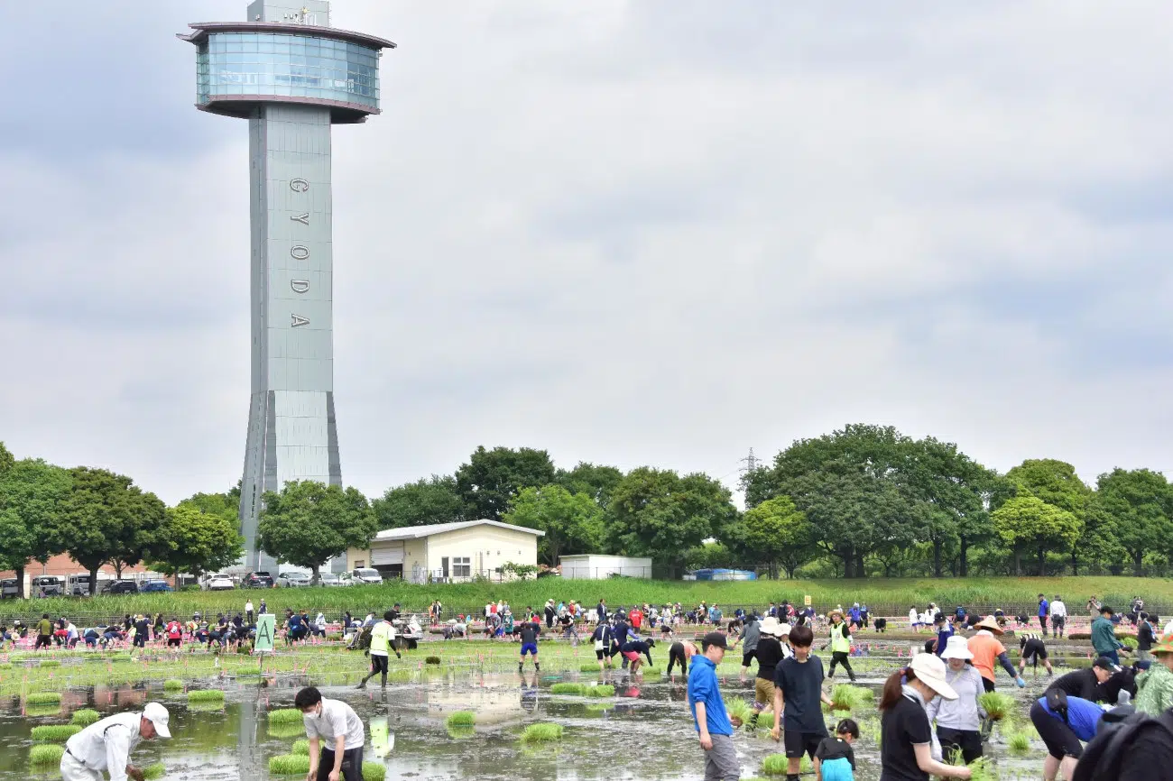 Rice planting volunteers at the Demon Slayer Rice Paddy Art in Gyoda, Japan