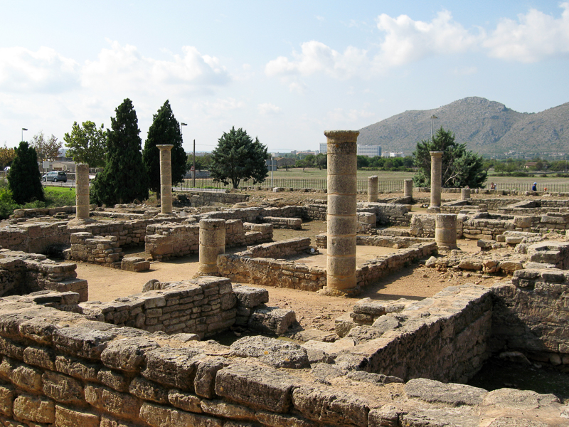 ancient rome mallorca bird thrushes cesspit street food