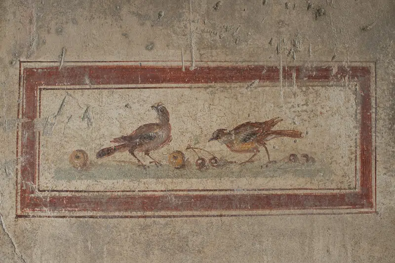 ancient rome mallorca bird thrushes cesspit street food