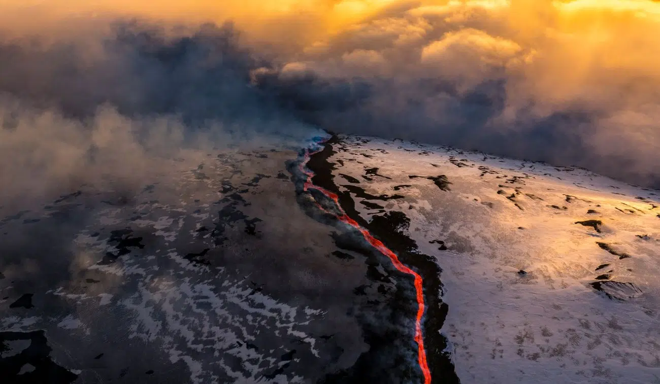 2025 BigPicture Natural World People's Choice Award Nominee