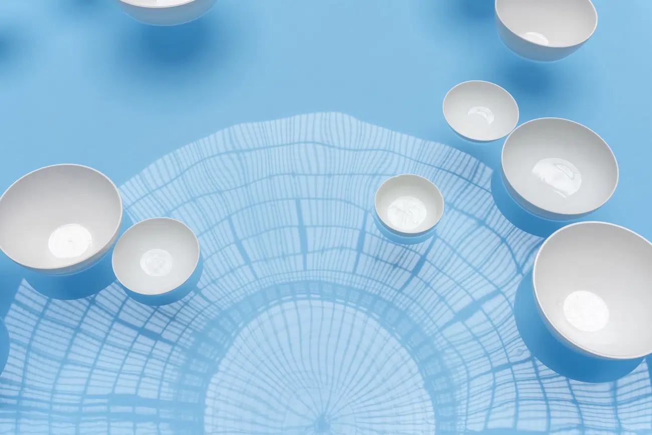 Clinamen Installation by Céleste Boursier-Mougenot