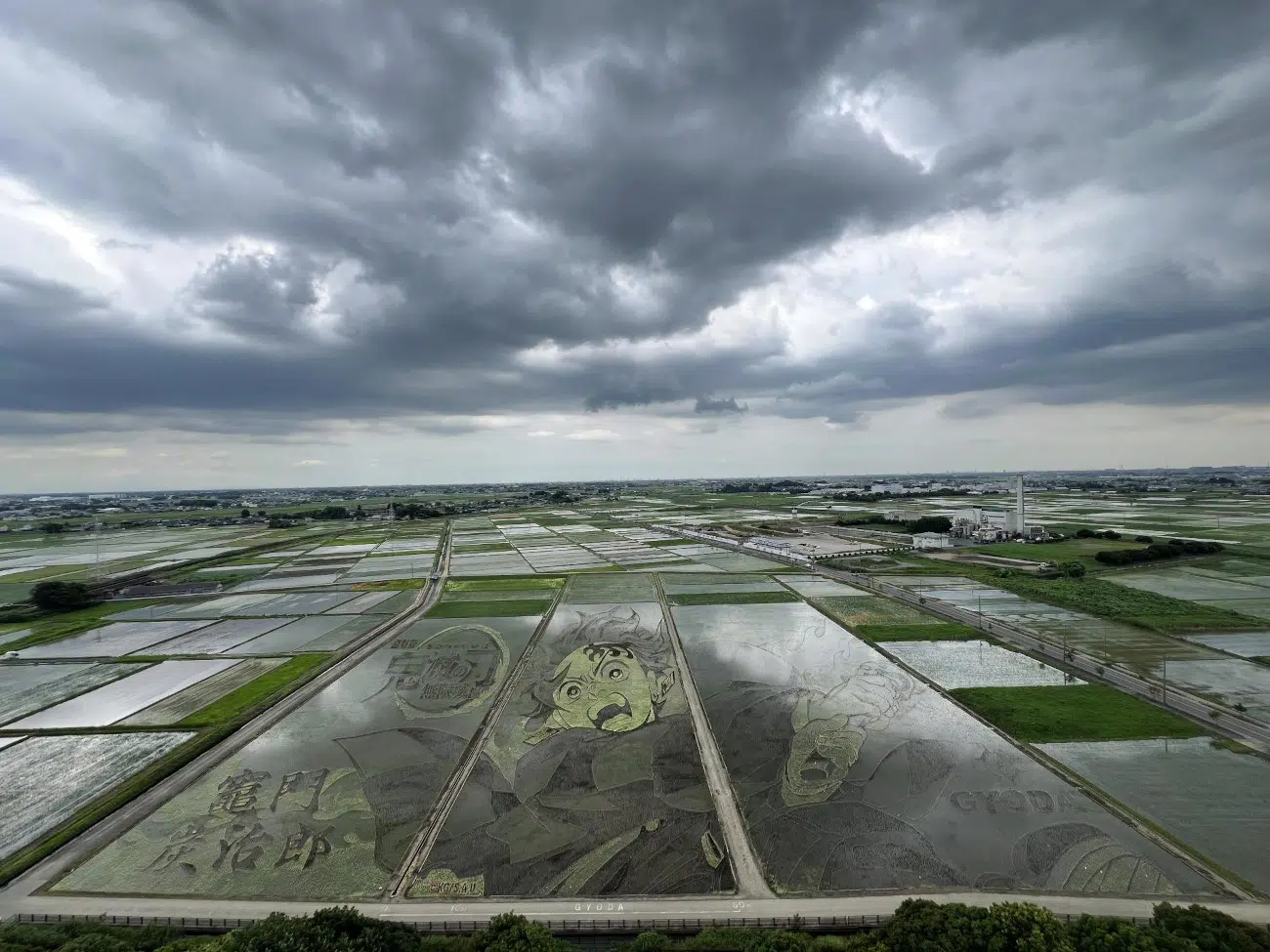 Demon Slayer Rice Paddy Art in Gyoda, Japan