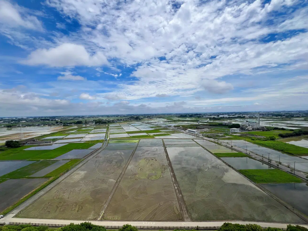 Demon Slayer Rice Paddy Art in Gyoda, Japan