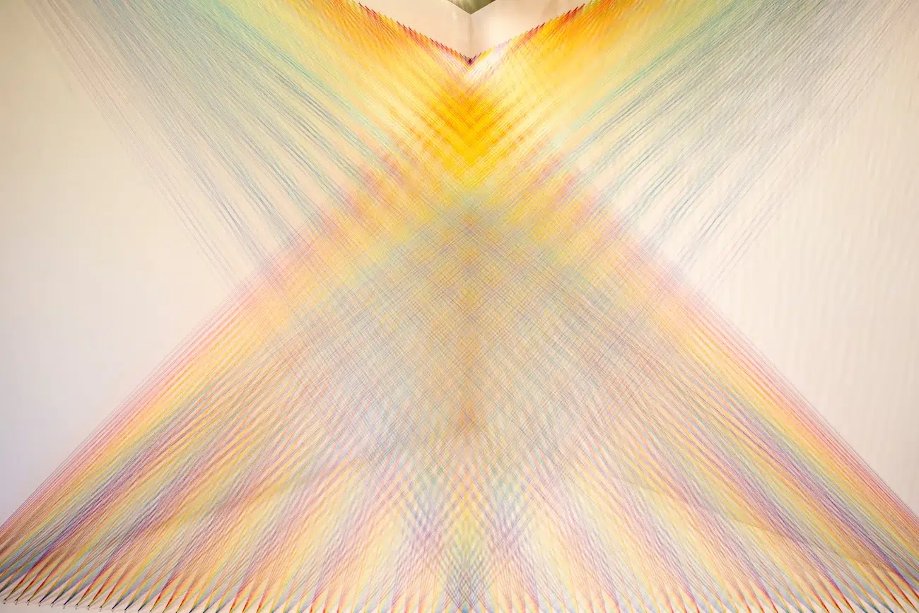 Plexus No. 46 by Gabriel Dawe Art Installation