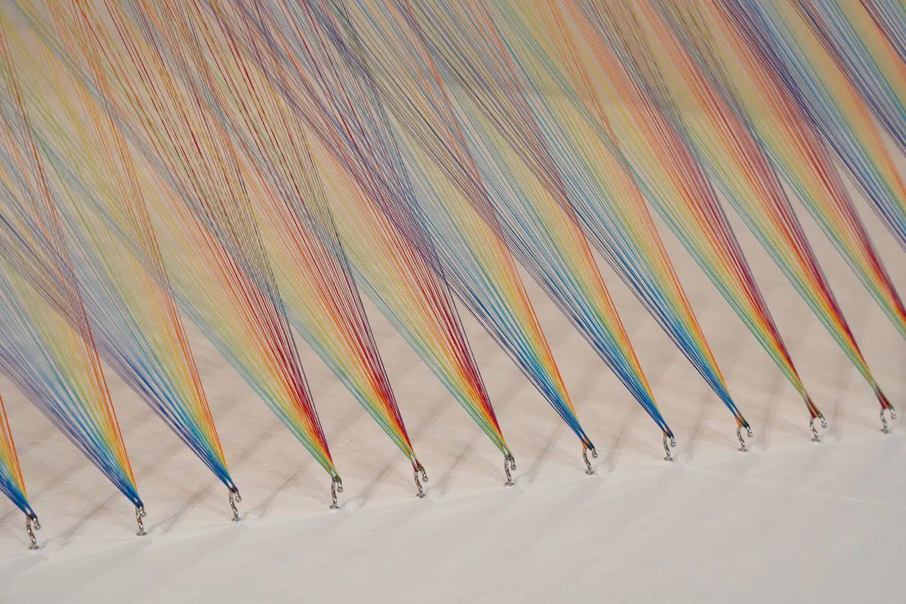 Plexus No. 46 by Gabriel Dawe Art Installation