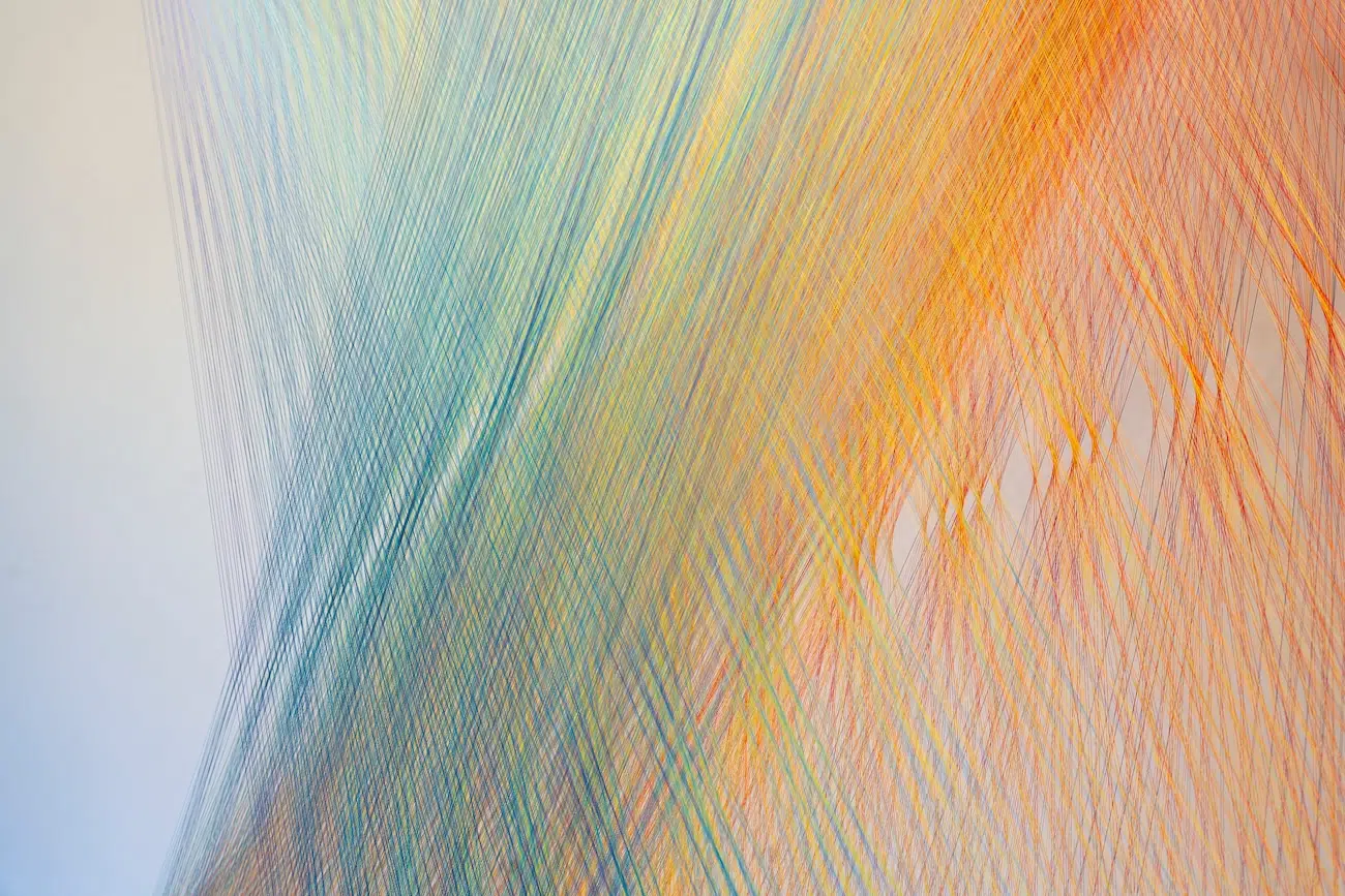 Plexus No. 46 by Gabriel Dawe Art Installation