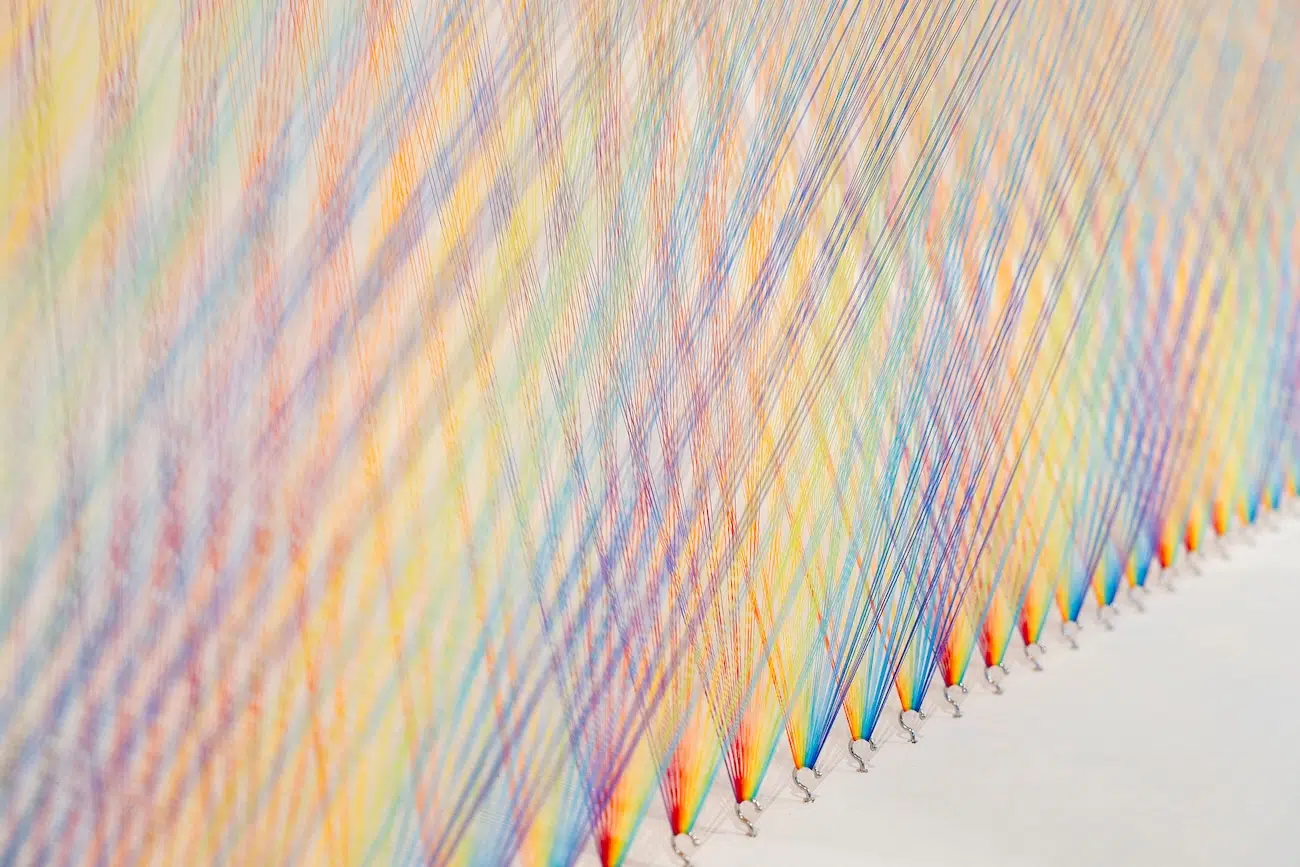 Plexus No. 46 by Gabriel Dawe Art Installation