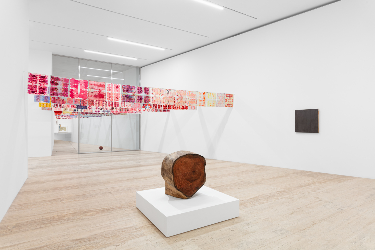 Installation view of the exhibition 'Gabriel Orozco: Politécnico Nacional.' 