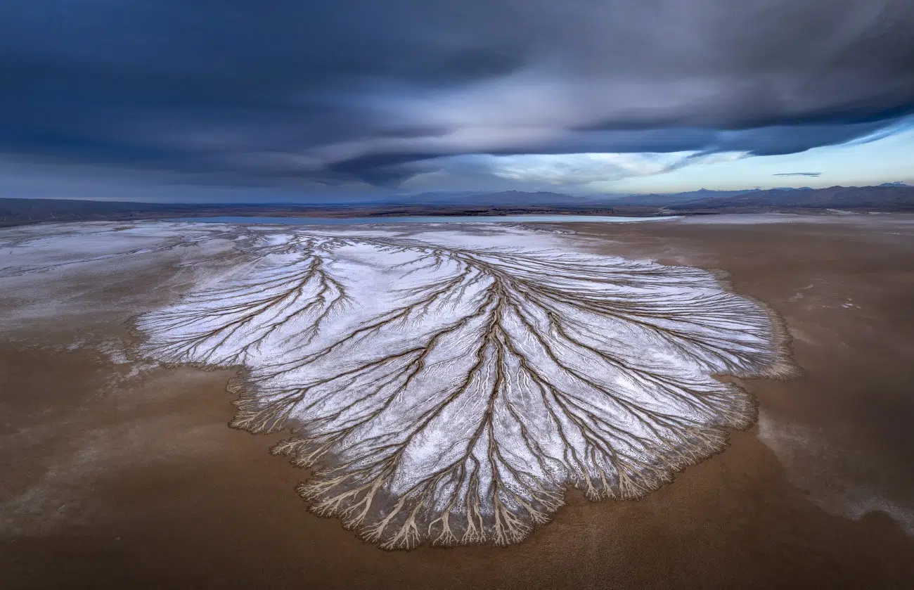 Desert Playa