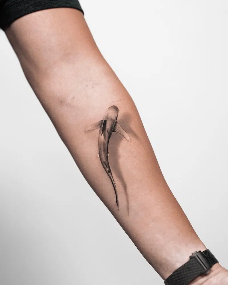 Tatu Panda Realistic Tattoos