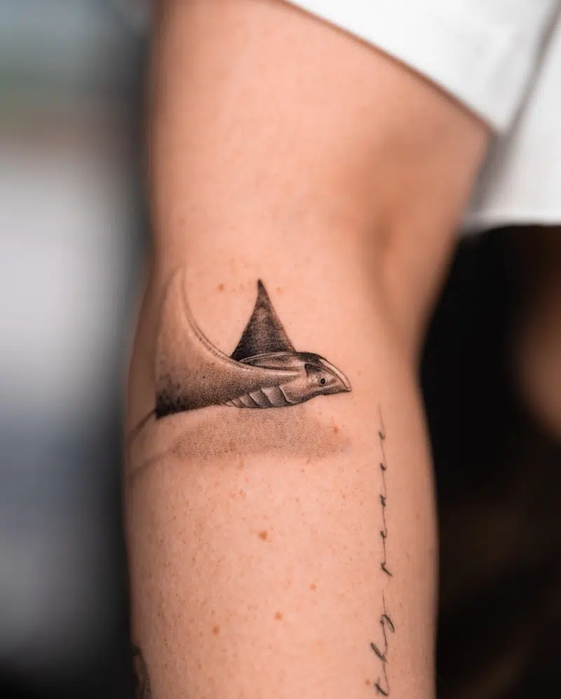 Tatu Panda Realistic Tattoos