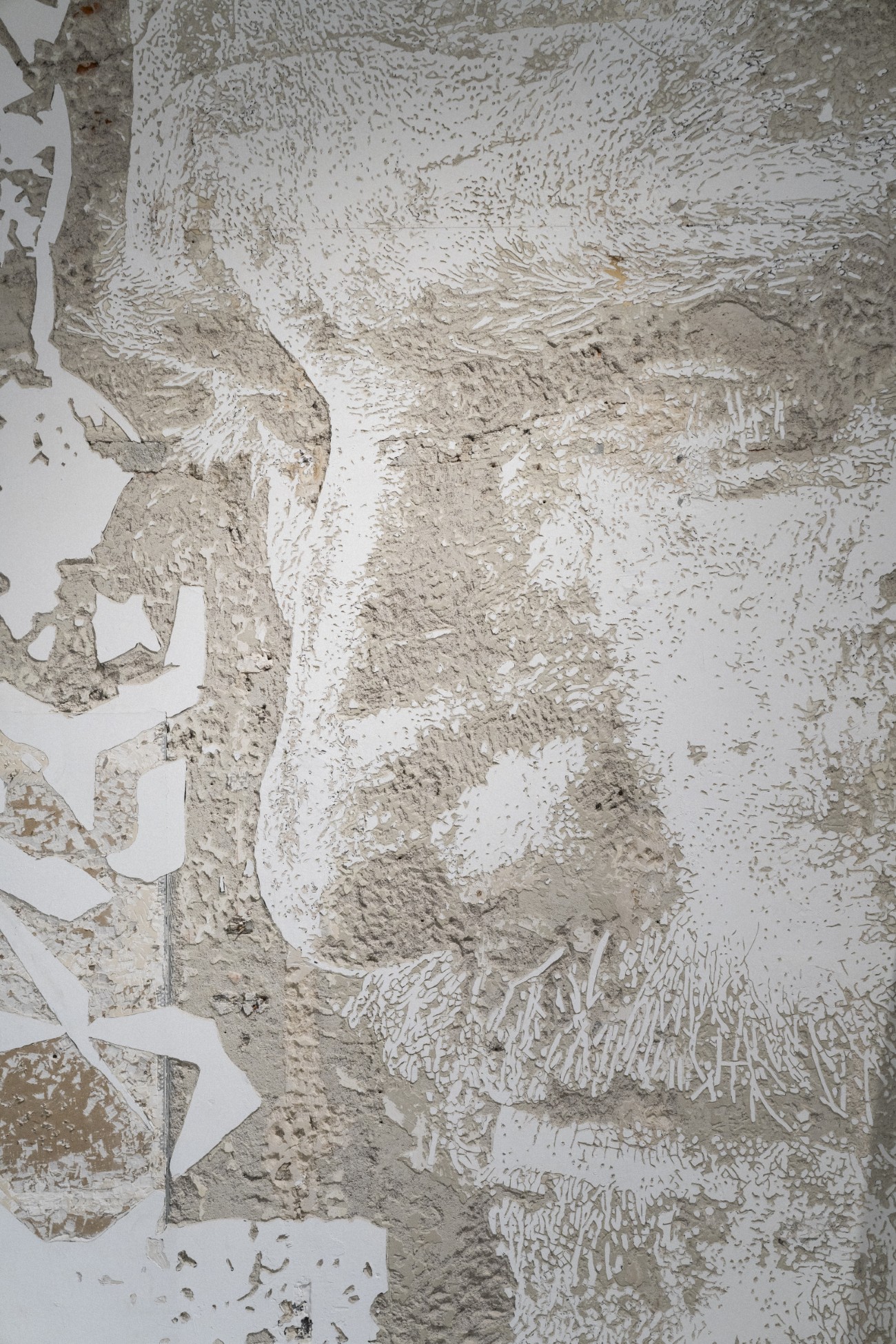 Vhils "Strata" at MUCA